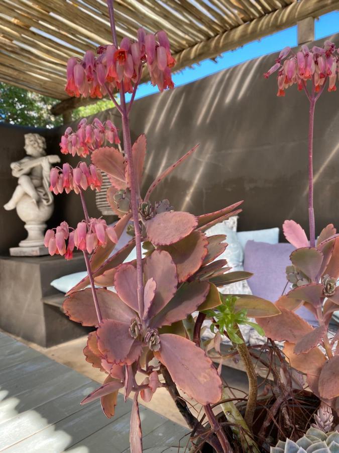 Gelukkie Hotel Paternoster Buitenkant foto
