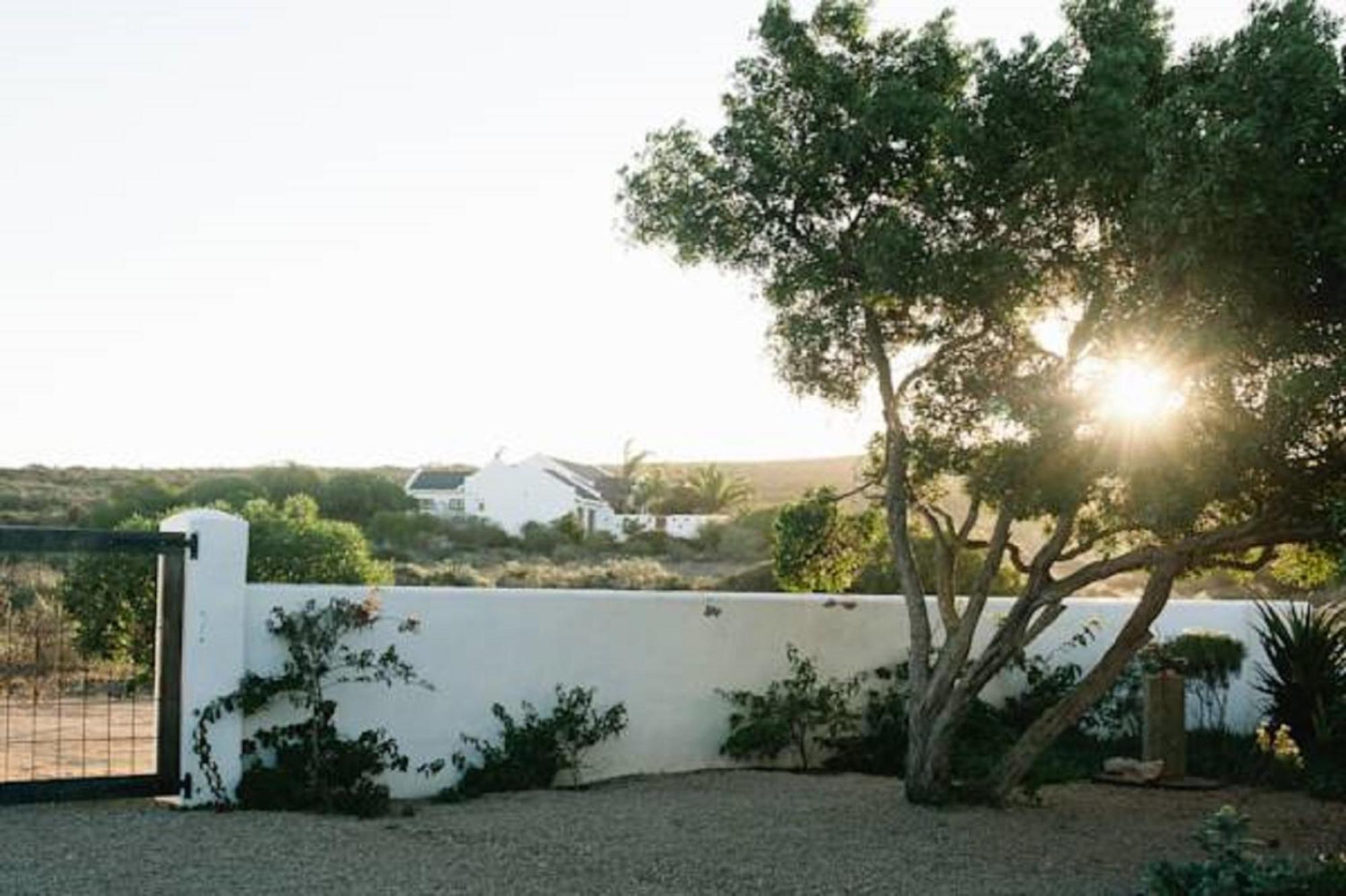 Gelukkie Hotel Paternoster Kamer foto